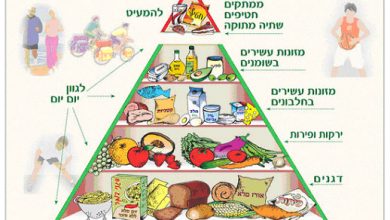פירמידת המזון הישראלית