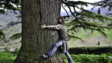 בחור מחבק עץ