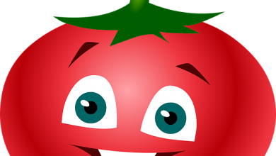 איור של עגבניה חייכנית