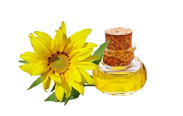 שמן חמניה ופרח חמניה