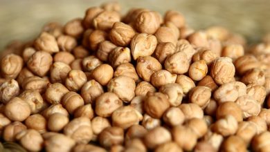 גרגרי חומוס