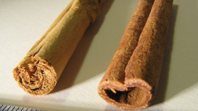 השוואה בין קינמון ציילוני לקינמון אינדונזי