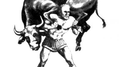 מילו מקרוטון מרים פר צעיר