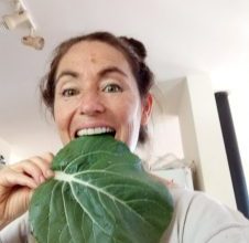 לימור אלמוג הרצאות בריאות